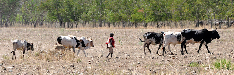 Melanie Heinrich - Travel Images - Nairobi Kenya -Arusha, Tanzania